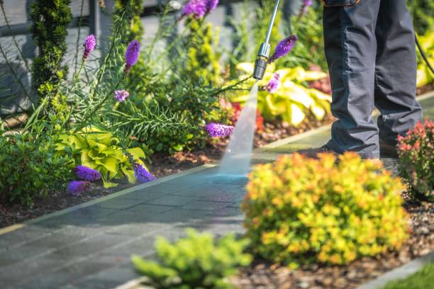 Best Pre-Holiday Cleaning  in New Glarus, WI